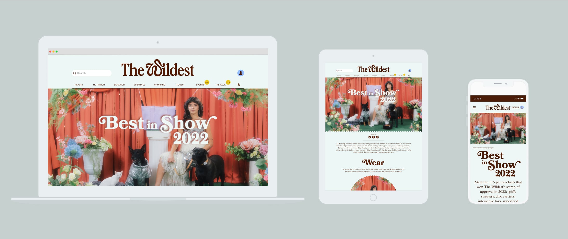 Preview of the Best in Show website on laptop, tablet and mobile devices.