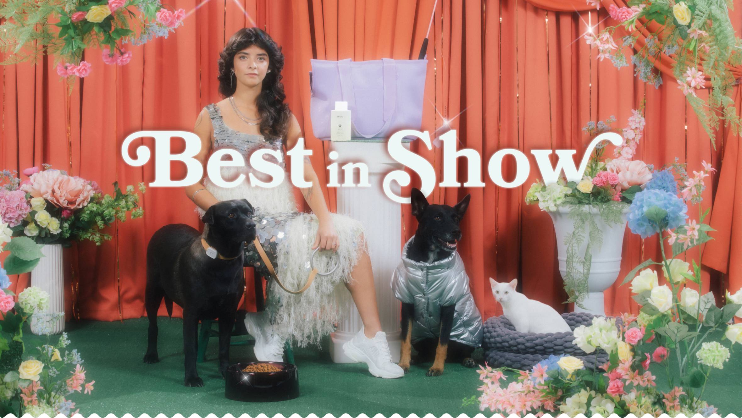 Photo of young woman in a sparkly dress surrounded by two dogs and a cat and bordered by colorful fake flowers. 'Best in Show' logo overlaid on image.