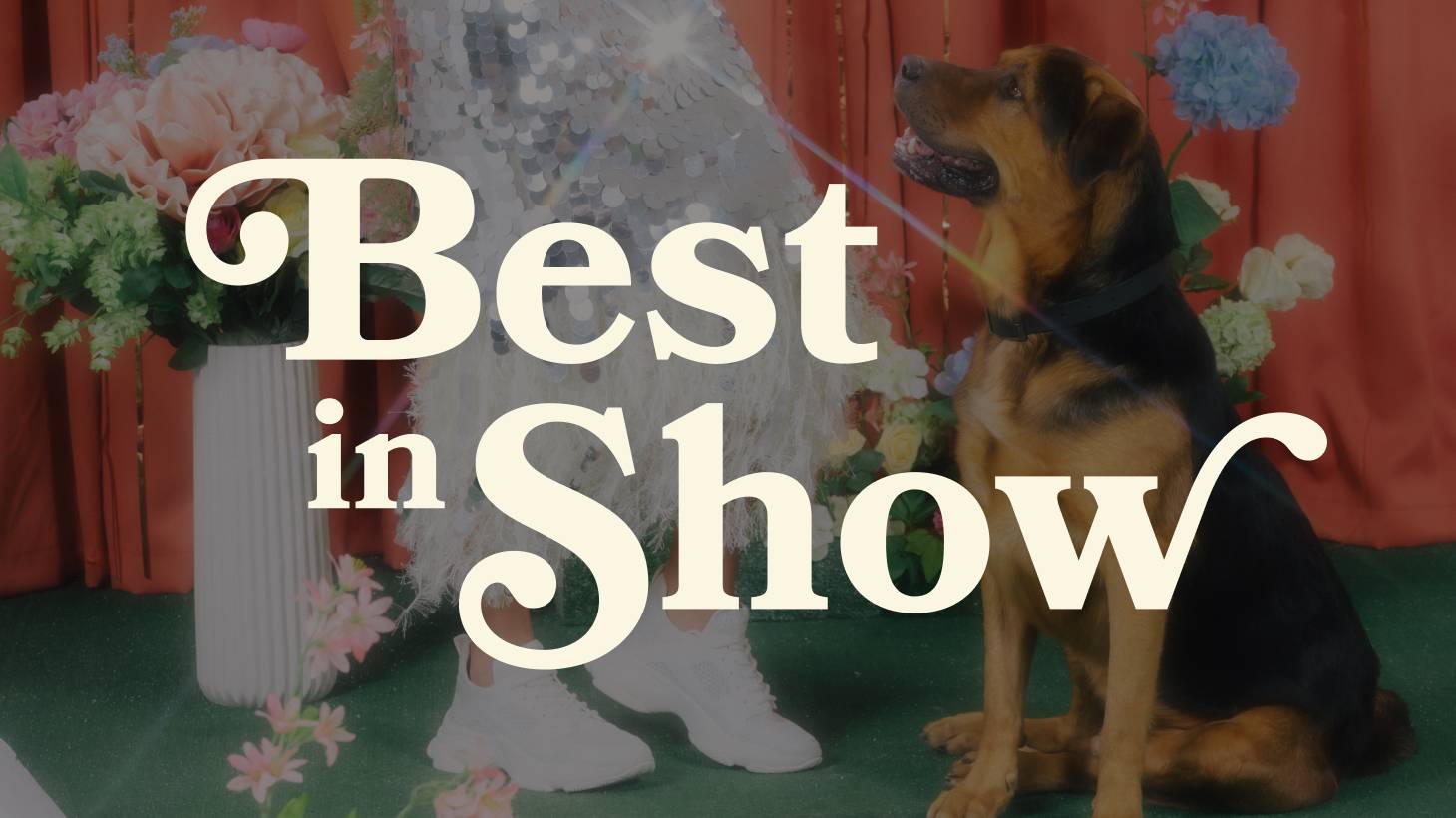 Behind the scenes photo of the Best in Show studio set and crew.