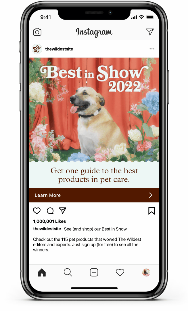 iPhone mockup of instagram displaying Best in Show carousel post.