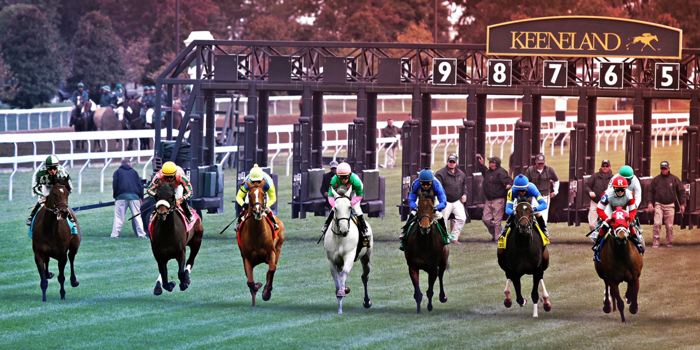 Photoshopped image of horse and jockey in New Years attire