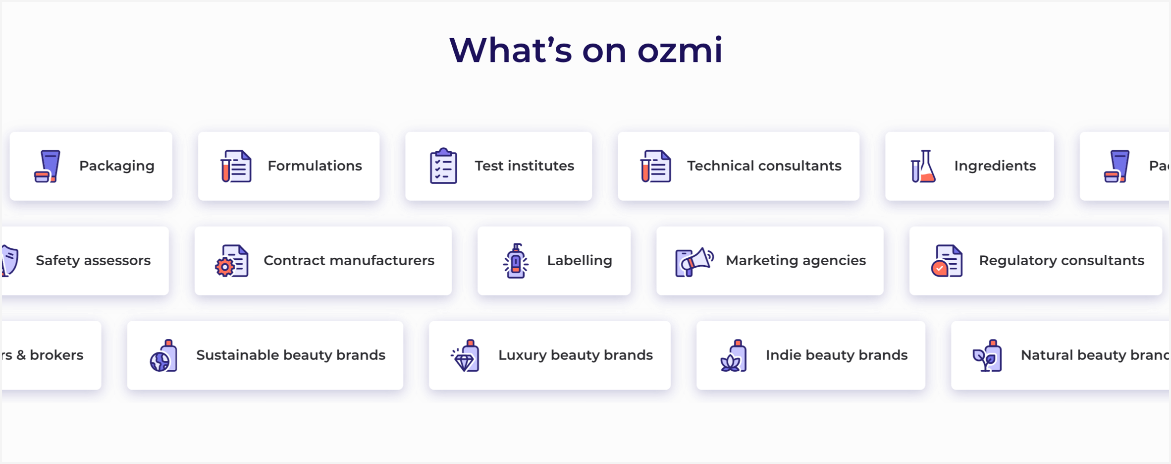 Ozmi icon set in action on the product landing page
