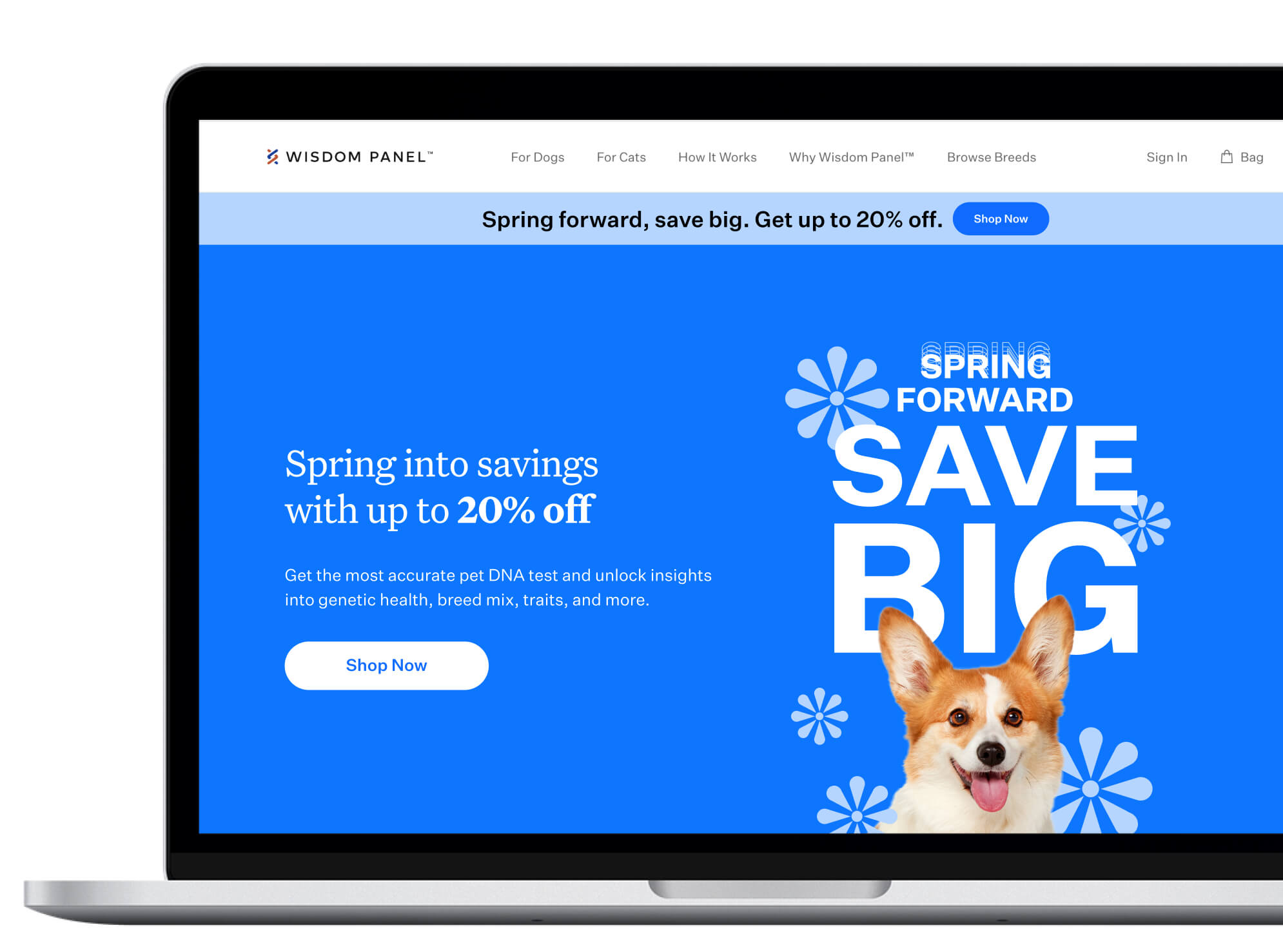 Wisdom Panel Spring marketing campaign website homepage on laptop.